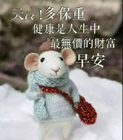 早安表情包:微信冬天温馨问候语,朋友圈新版早晨好图片带字