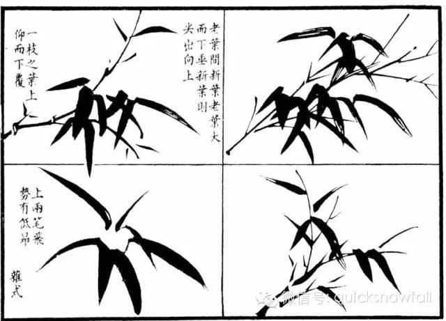 竹子简谱画_竹子画(3)