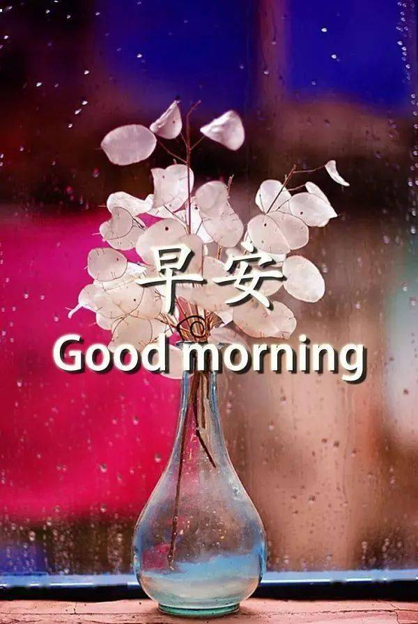 好看的壁纸图案动态 c65971f531334db99efe989b874e314c.jpeg
