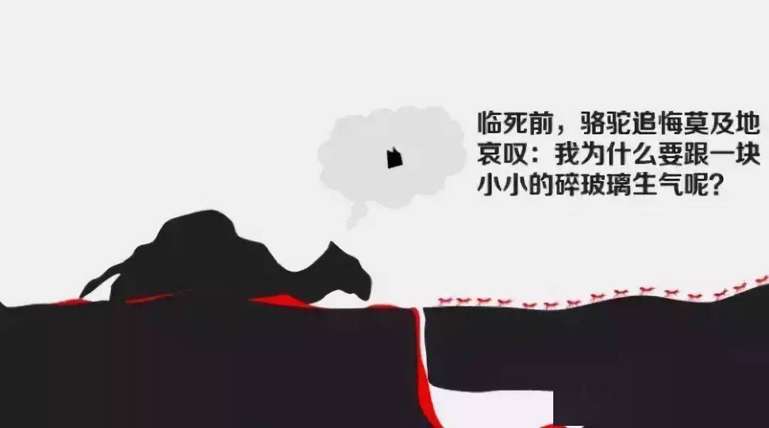 一颗心在水边照镜子猜成语_彭于晏照镜子(2)