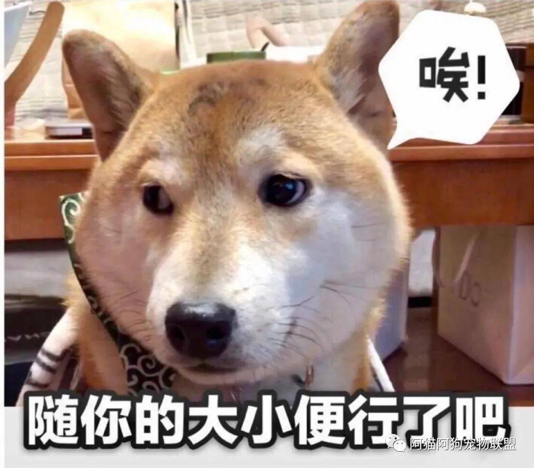 1586e46c5cdd48f29d36e1f2a7b15160.jpeg