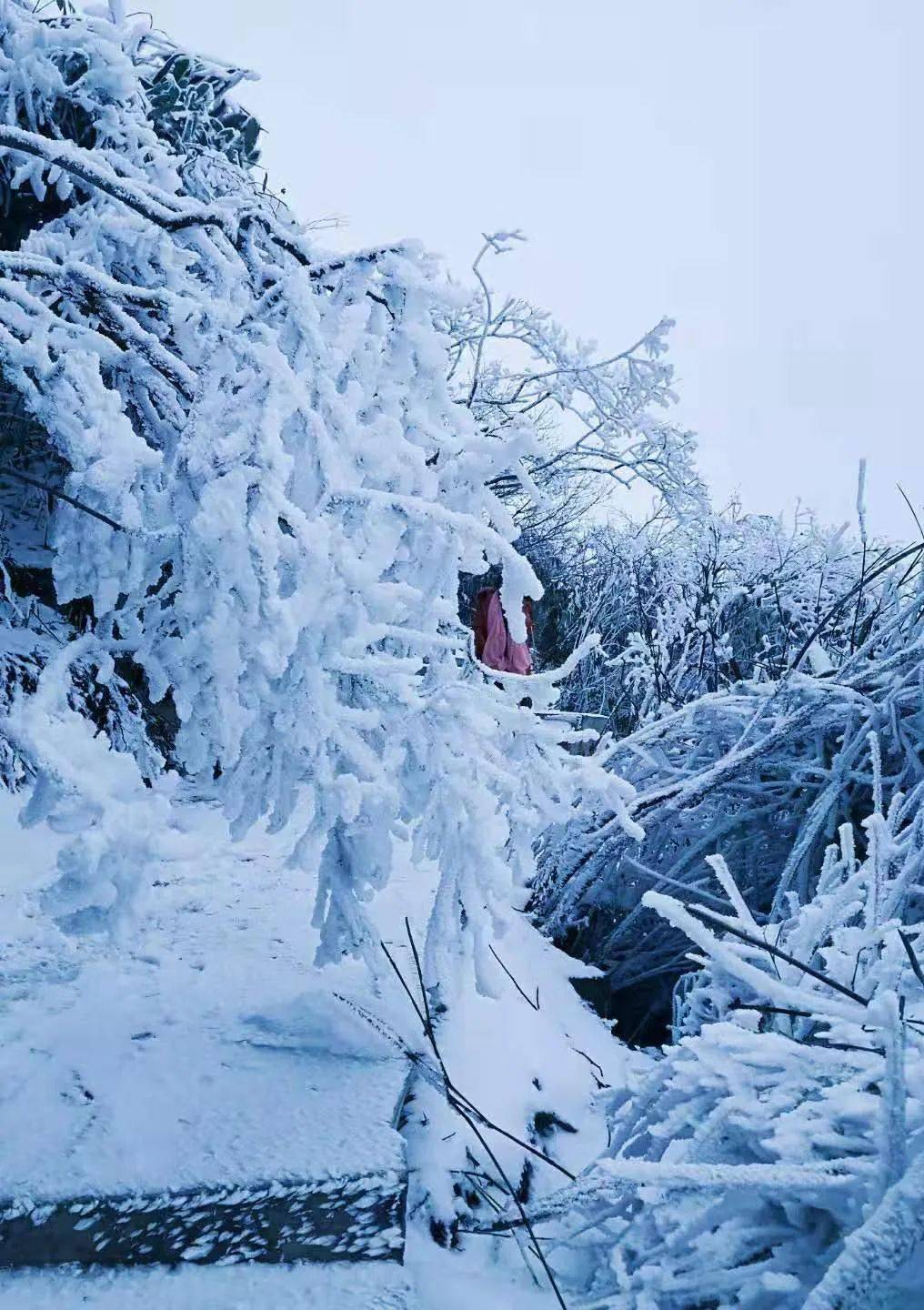 霎时撩动了每个人的心弦@喻青峰 摄于川河盖星空酒店 万里皆雪色