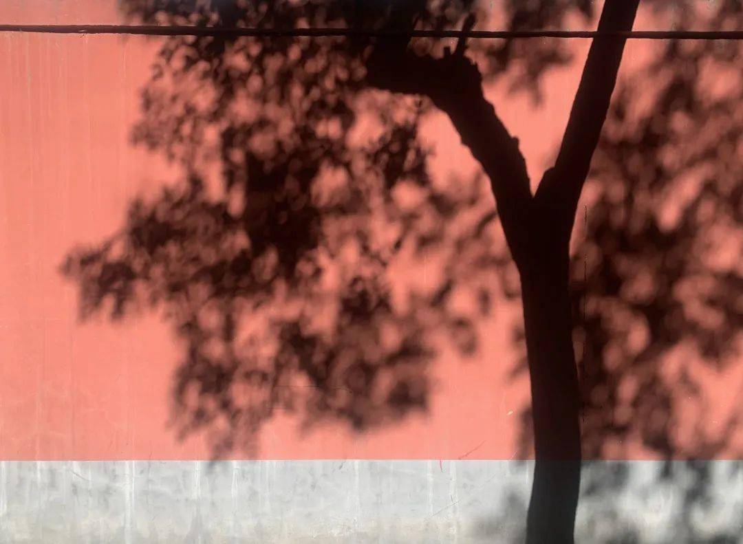 96347d3eae1244228af6de99cddd588f.jpeg