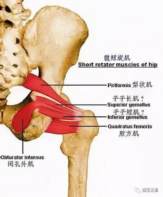 怎么减大腿根外侧的肉 e573626acd1140b3aab946ea503793a4.jpeg