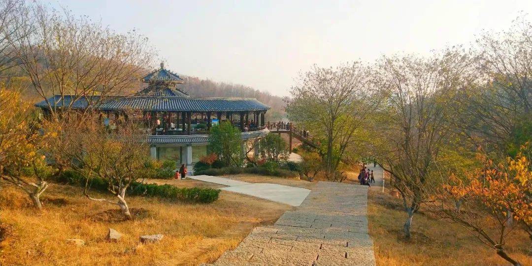 淮南最美风景随手拍摄影作品展示