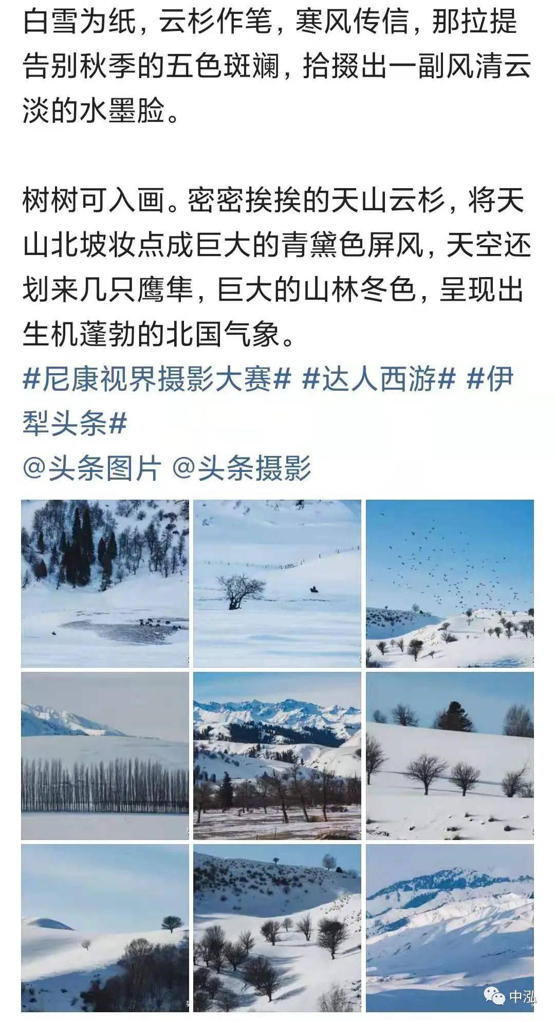 可可托海的牧羊人曲谱教唱单簧管_可可托海的牧羊人曲谱(5)