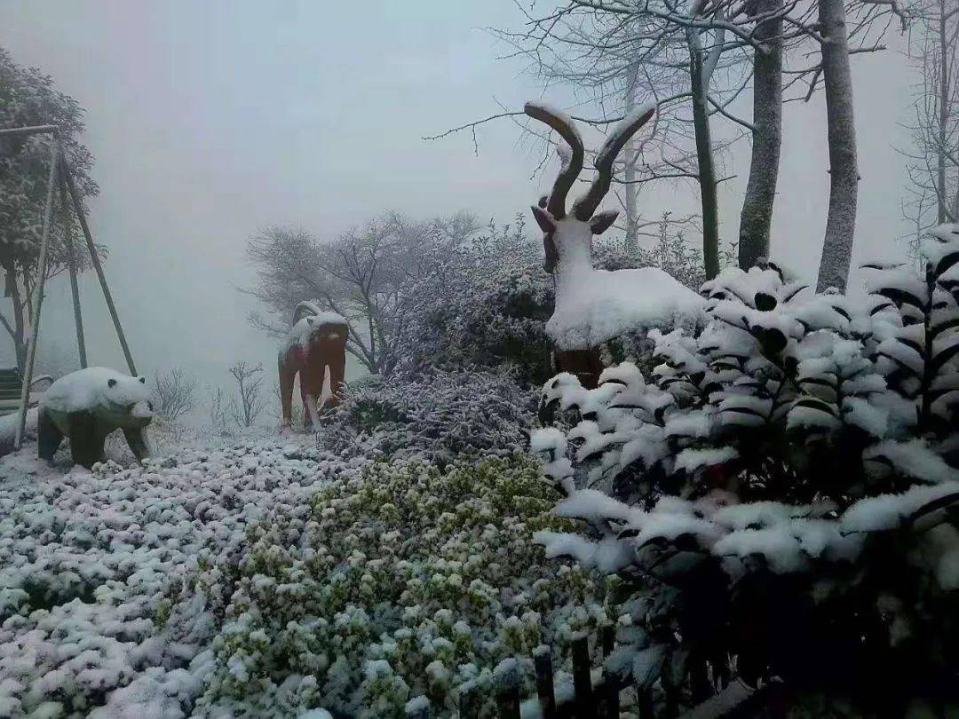 头条雪景美到爆什邡山上这些景点落雪了太震撼了