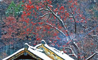 打通青山山更青