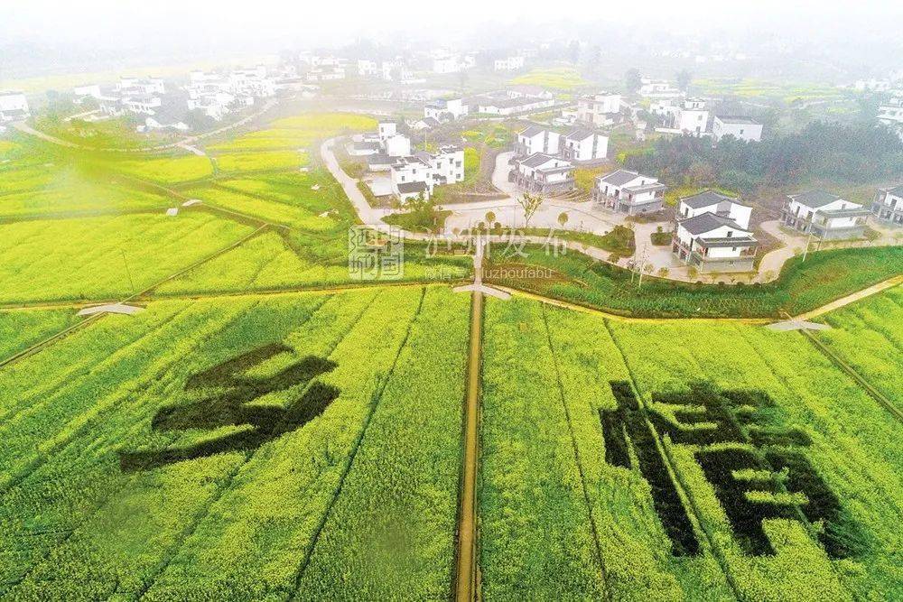 喻寺镇人口_喻寺镇风景