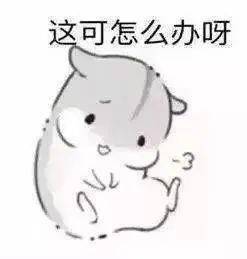 1a4647416135475a8d37d48e151219e0.jpeg
