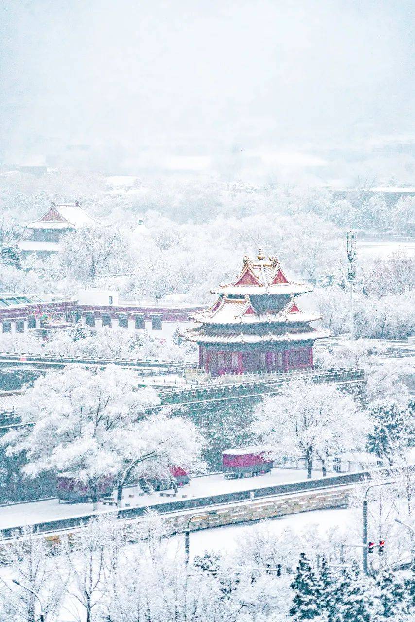 大雪过后的北京,我建议你一定去看看