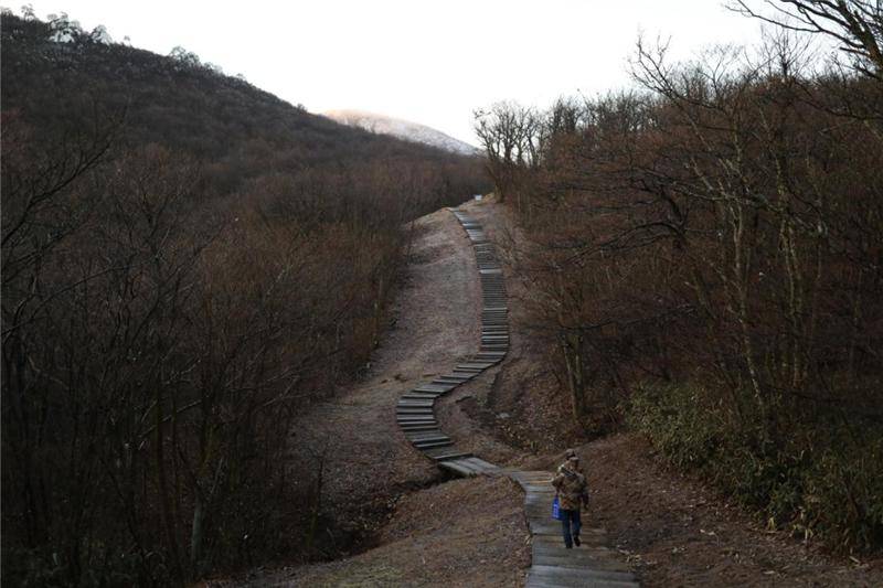 龙王山巡山人，每天“自虐线”八小时，只为保