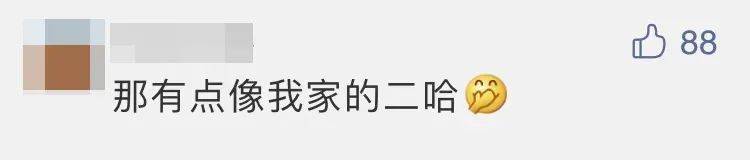 四子王旗|“嫦五”回家，没想到第一个找到的竟然是它？