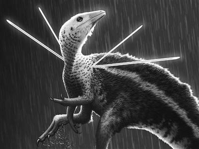 化石|化石研究发现“霸屏”小恐龙