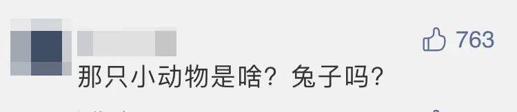 “嫦五”回家，没想到第一个找到的竟然是它？