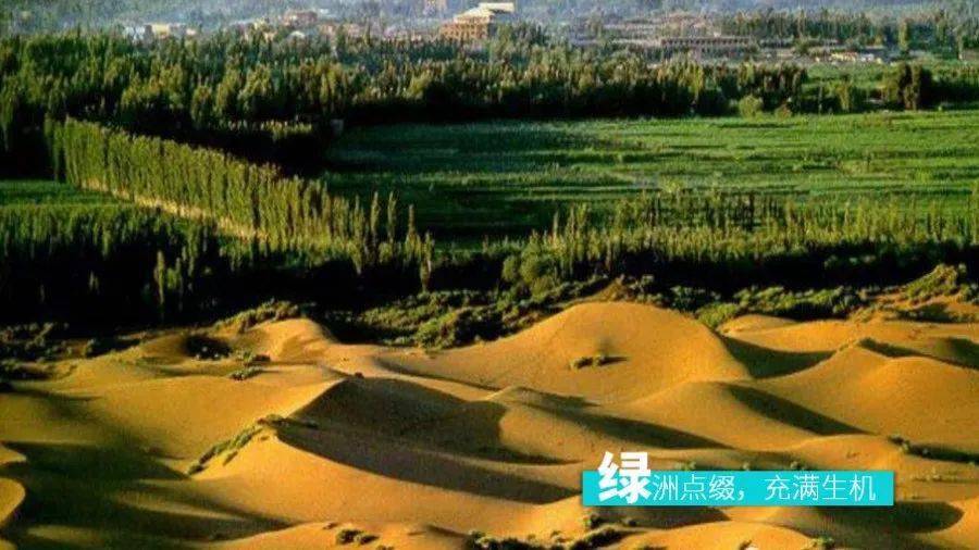 塔里木盆地变成湖泊会怎么样 dd11460007bf45dfa7e557204a47e01a.jpeg