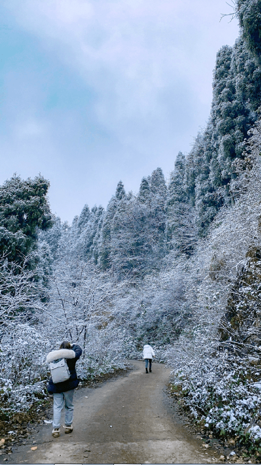 绵竹这里下雪啦!银装素裹,太美了!_登山