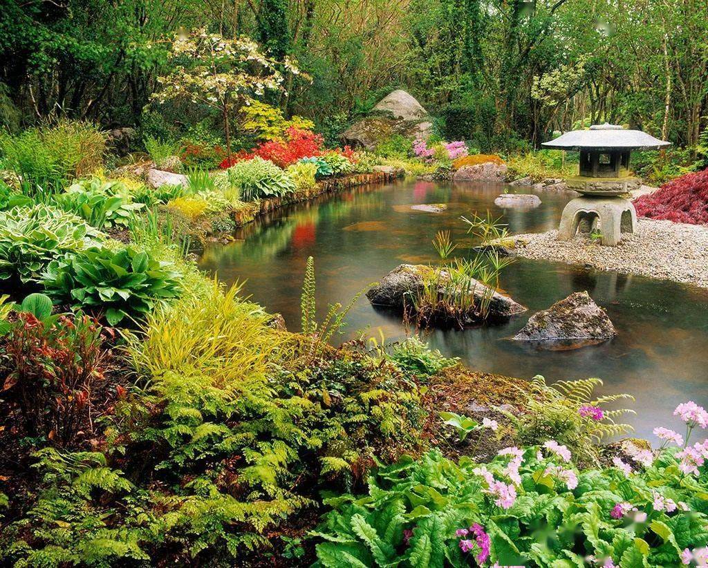 日式花园特点（日式庭院设计特点） – 碳资讯