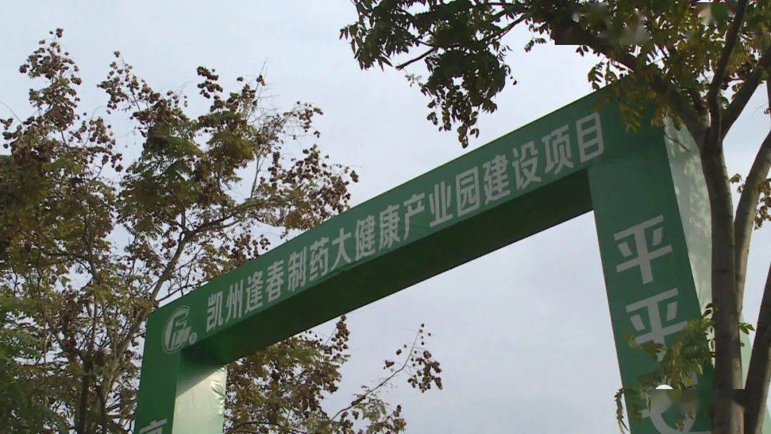合肥医药健康产业园经济总量_合肥明珠产业园(3)