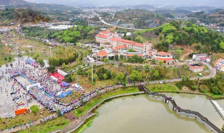 【醉美樱花胜地,跑马香约漳平】 2021漳平永福樱花马拉松赛