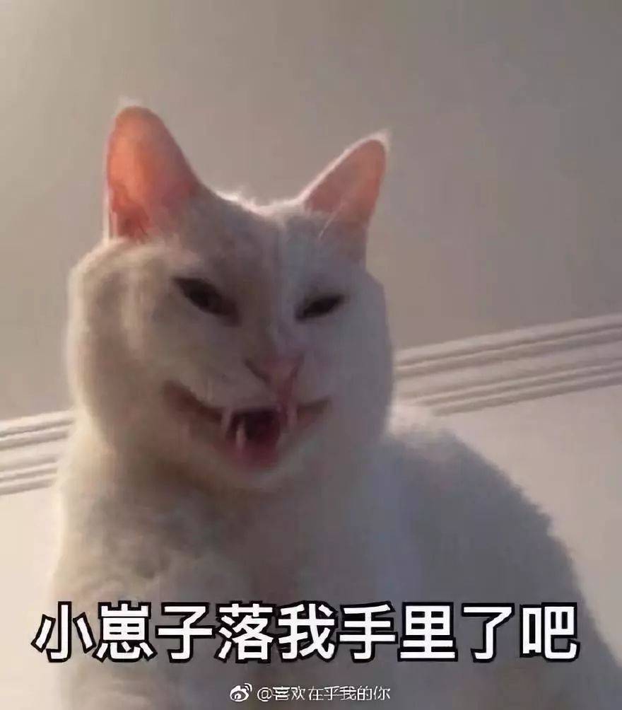 差点没把我笑死过去!