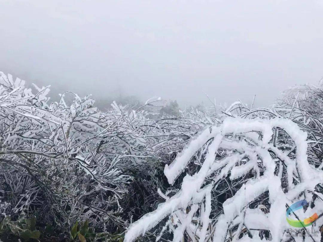 快看崇义县阳明山的雾凇奇景