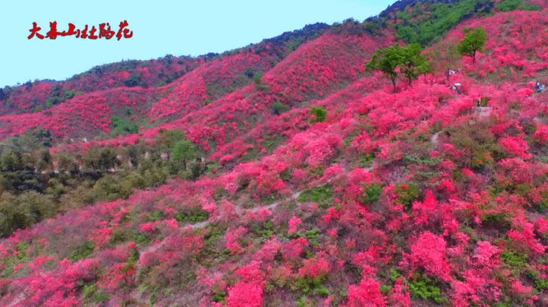 湖北通山县人口碑_湖北通山包砣图片(2)