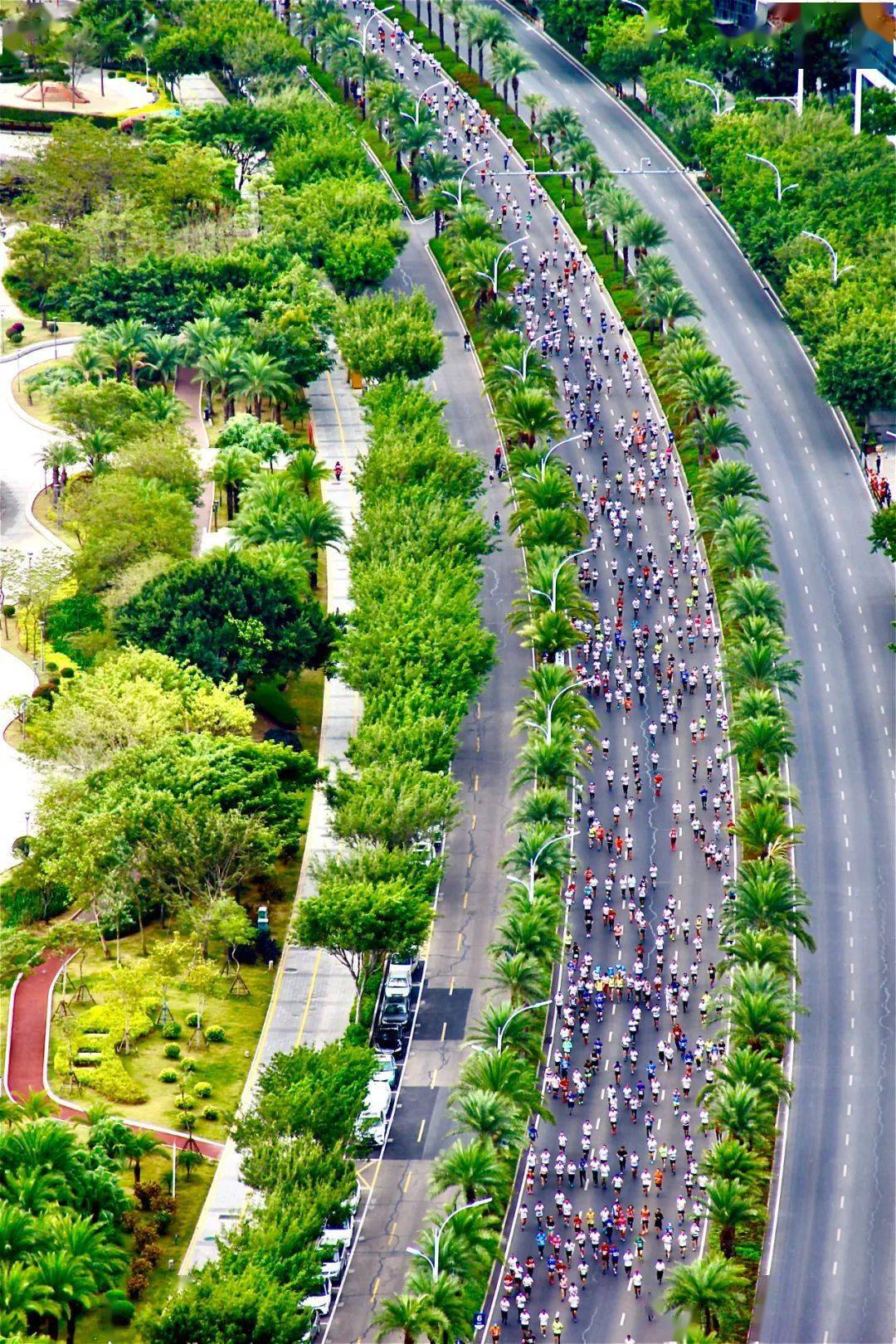 园林绿化排名_园林绿化