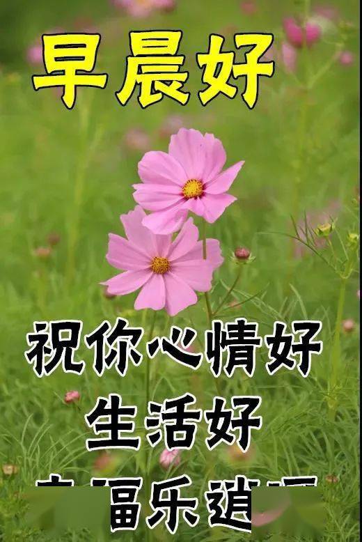 12月最新早安问候祝福图片带字温馨 1,魔力短信,变变变!