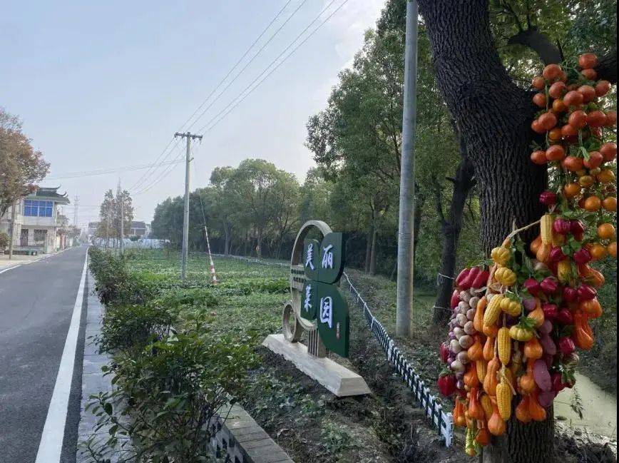 巧心巧绘 | 碧溪巾帼探访美丽乡村