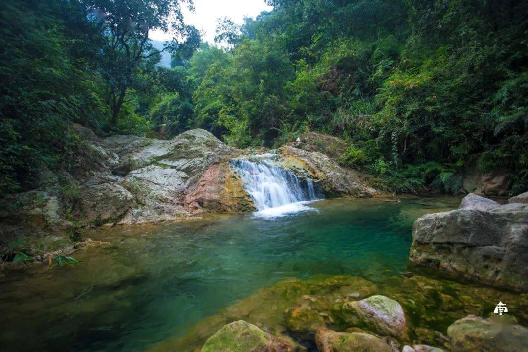 高明南海湾森林生态园,烟桥古村,安纳希小镇二天