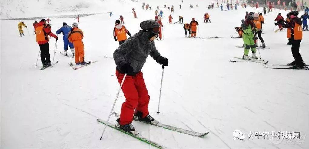 【仅25元】畅玩大午科技园包含18选10项套票 滑雪场 体验票