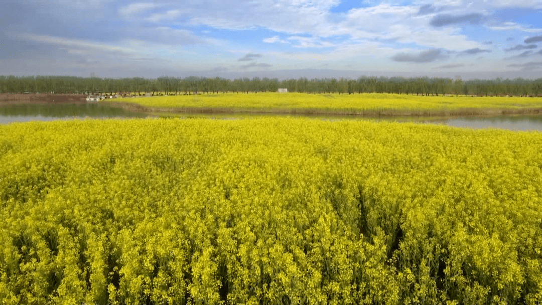 封丘gdp_封丘卷尖图片(2)