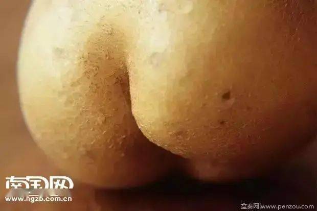 发几张不正经的照片给大家看看,笑死人不偿命!