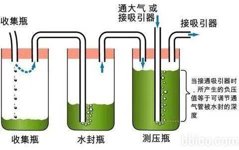 气胸拔管后伤口怎么办