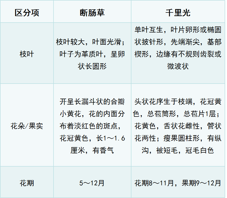 1419be6cf9354456af41bfc1509c3337.png