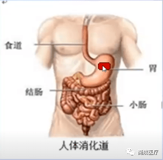 吃饭进到鼻子里怎么办