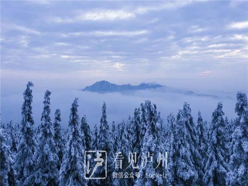 到雪季是泸州最高的地方罗汉林海拔1902米叙永·罗汉林美到无法形容看