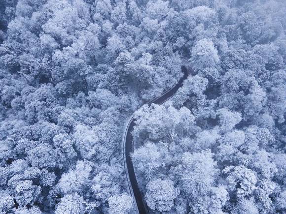 冬遇雅安，雪落成诗！