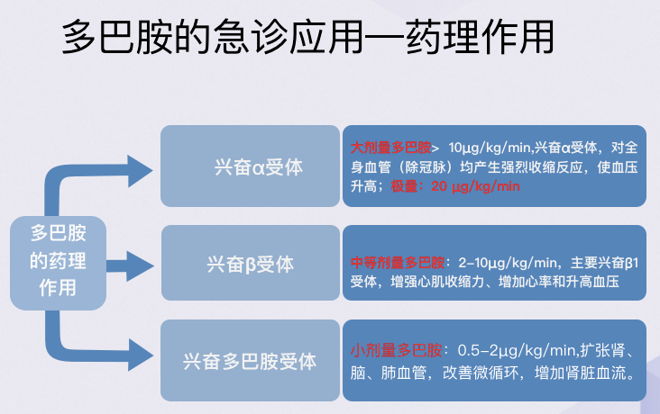 常用急救药物用法用量梳理