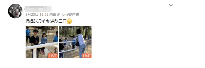 她硬秀恩爱的样子,看着好累