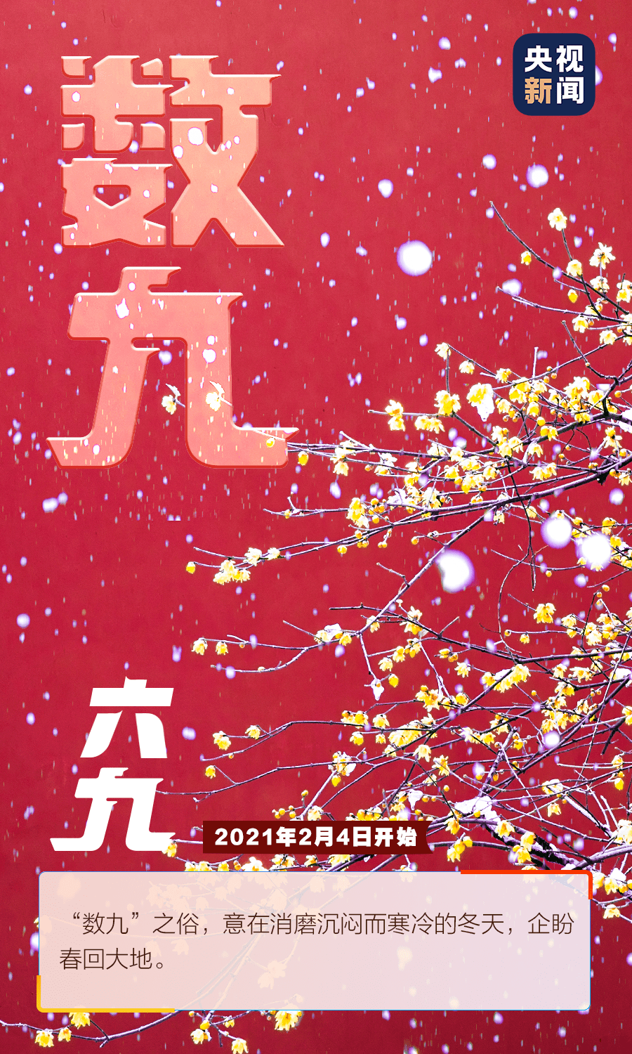 4ee79d5a28cf40bab585be09eccea824.png