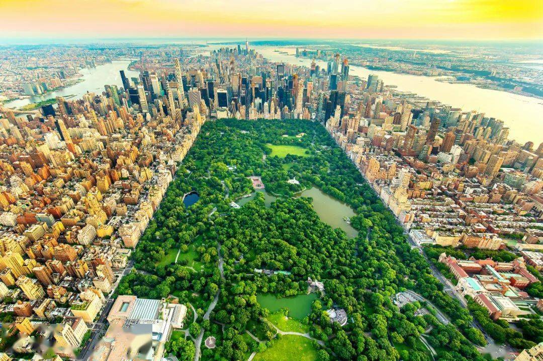夏日纽约中央公园鸟瞰. 摄影丨ivan kokoulin