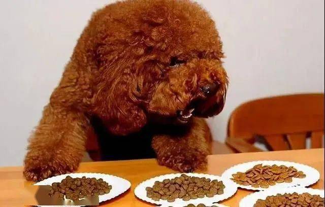 质量有保证最好的零食 8d6f3883eceb4d31b934e5b603f65f6a.jpeg