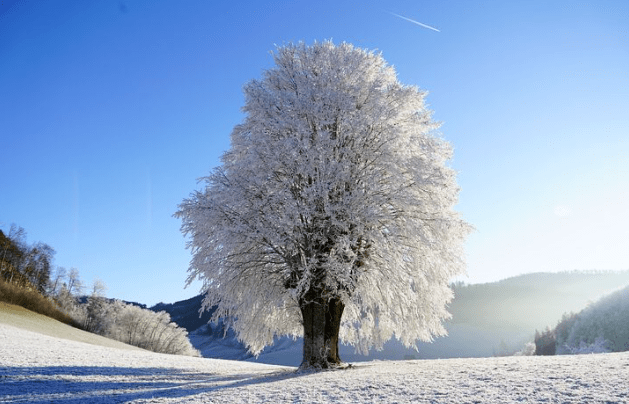 你那里下雪了么,快来积累关于雪花的优美词汇与句子