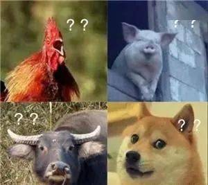 经常工作长了一身膘!