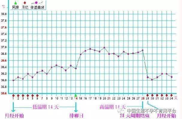 卵巢不排卵是什么原因导致的