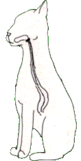 26e6e5c8ae754d76bfc6fda3d18db42d.png