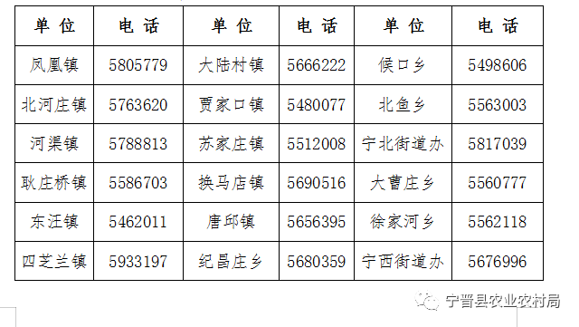 宁晋县各村gdp_走进邢台宁晋县,感受大美家乡