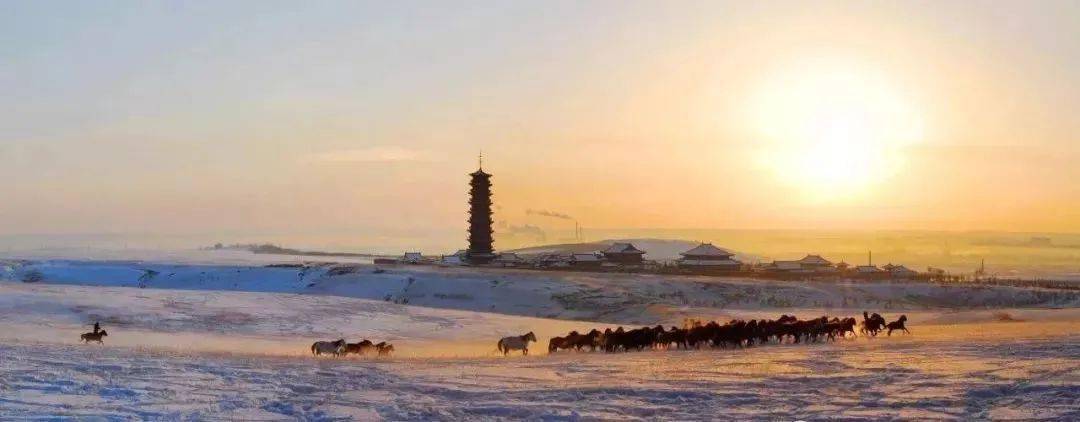 海拉尔绝美雪景